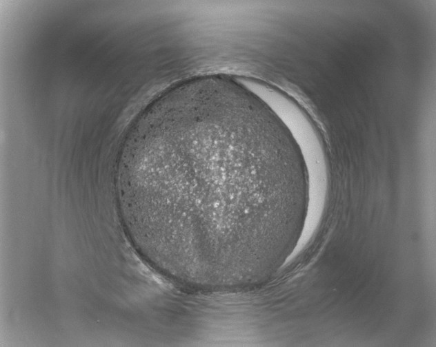 X0000060770577200512011614