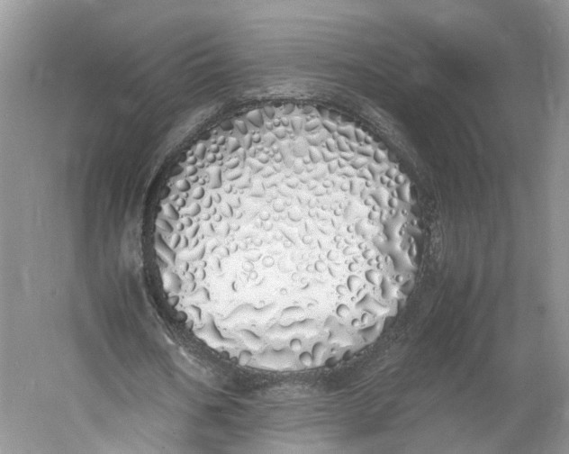 X0000060770578200512011614