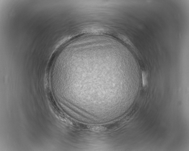 X0000060770579200512011614