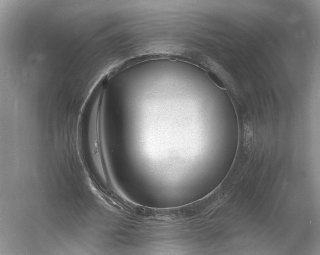 X0000060770580200512011614