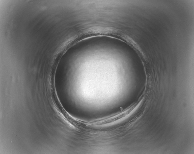 X0000060770581200512011614