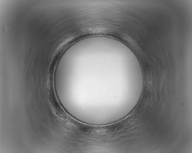 X0000060770583200512011614