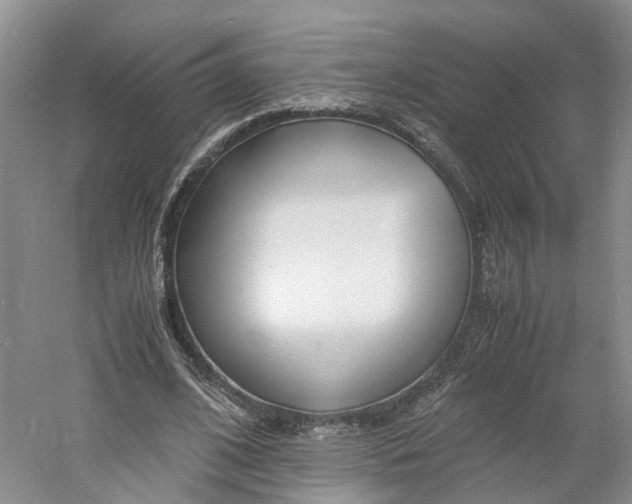 X0000060770584200512011614