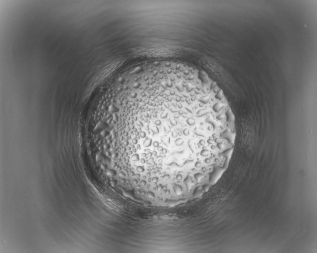 X0000060770586200512011614