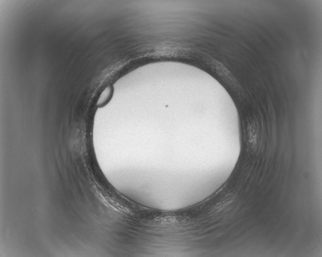 X0000060770588200512011614