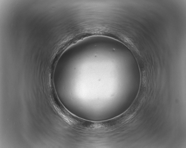 X0000060770589200512011614