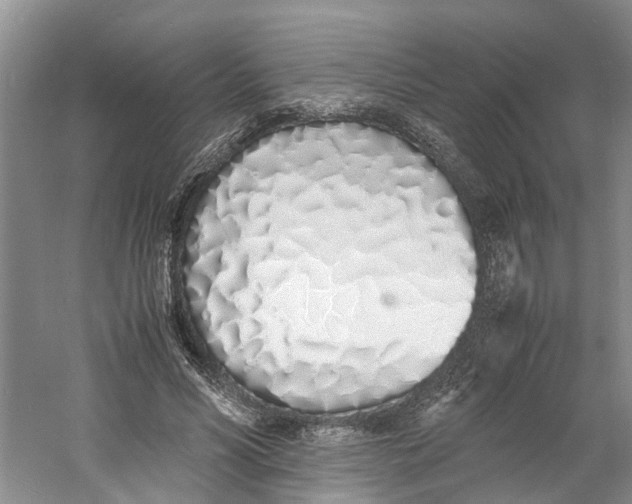 X0000060770590200512011614