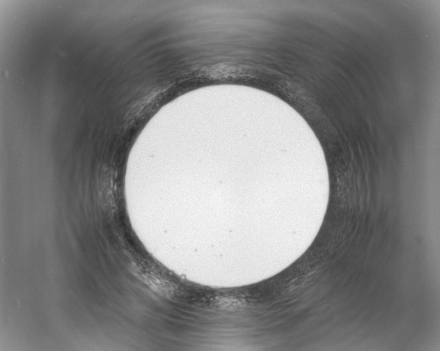 X0000060770592200512011614