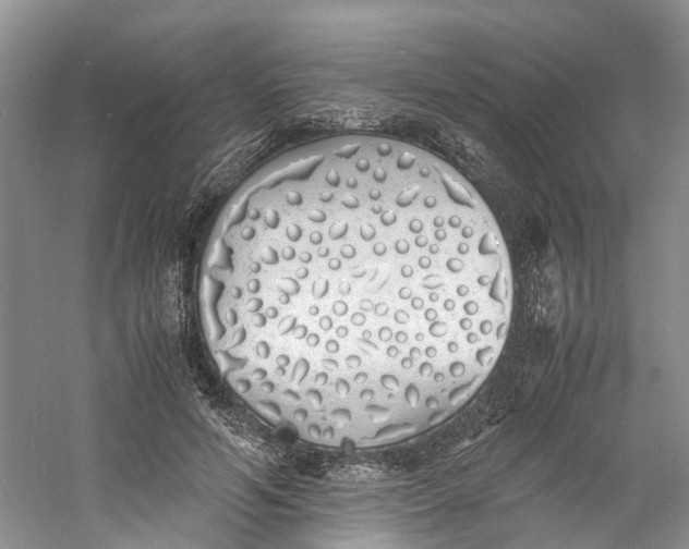 X0000060770594200512011614