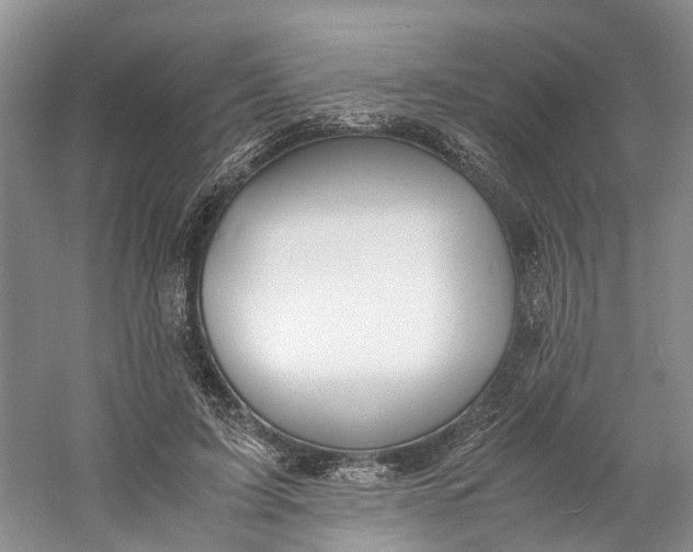 X0000060770595200512011614