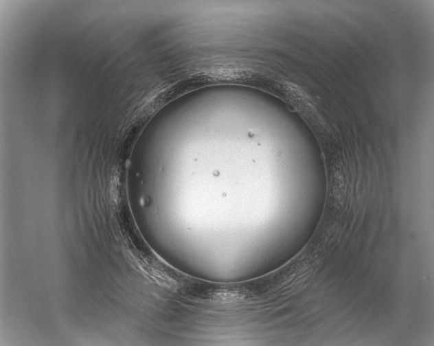 X0000060770596200512011614