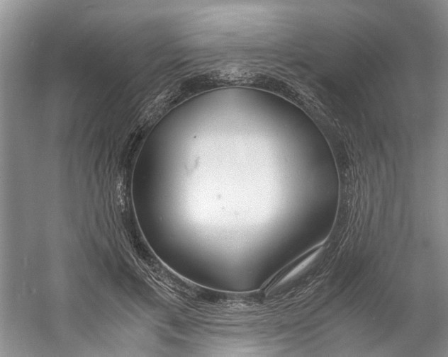 X0000060770597200512011614