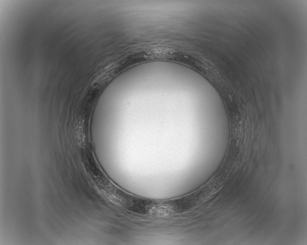 X0000060770599200512011614