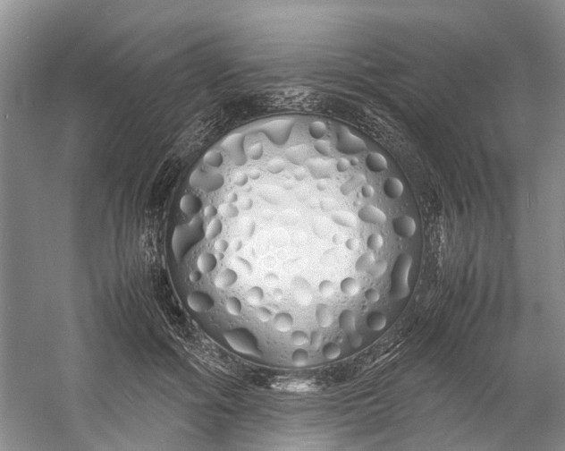 X0000060770602200512011614