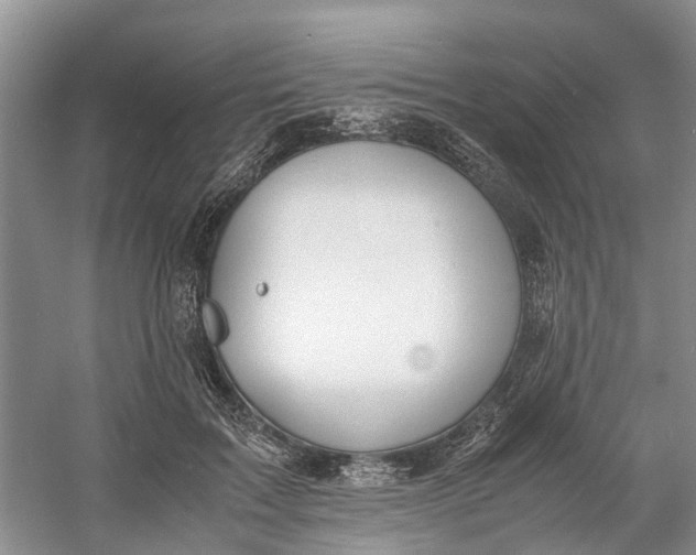 X0000060770603200512011614