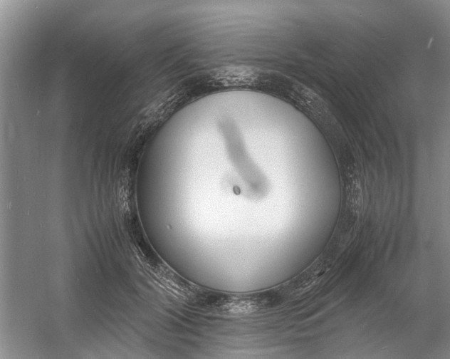 X0000060770604200512011614