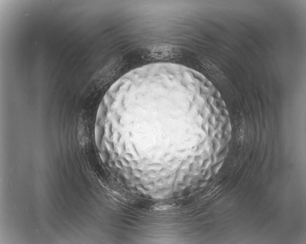 X0000060770606200512011614