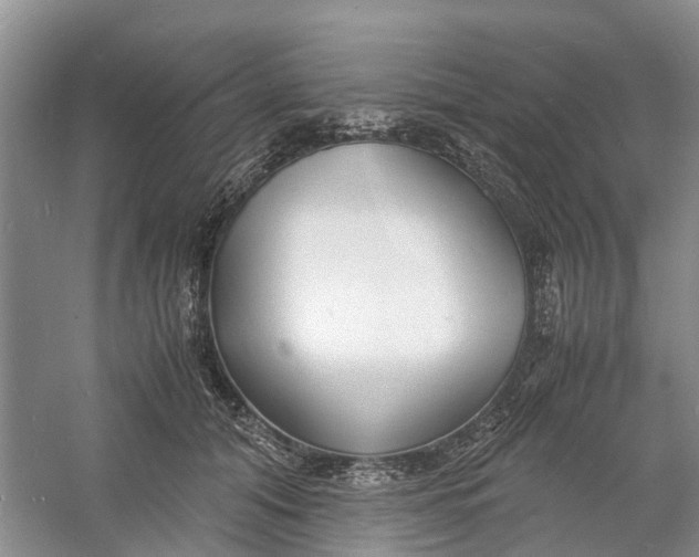 X0000060770608200512011614