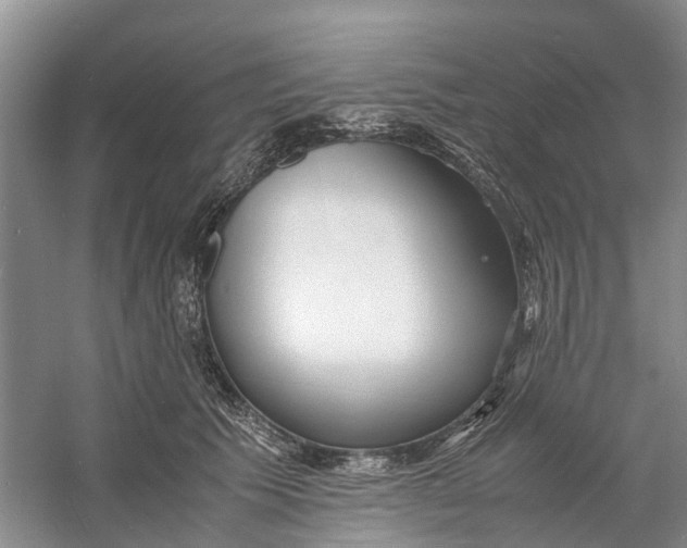 X0000060770609200512011614