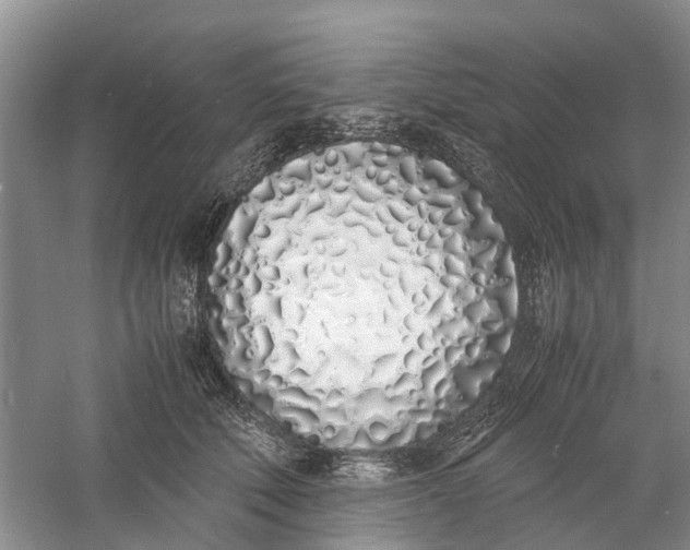 X0000060770610200512011614