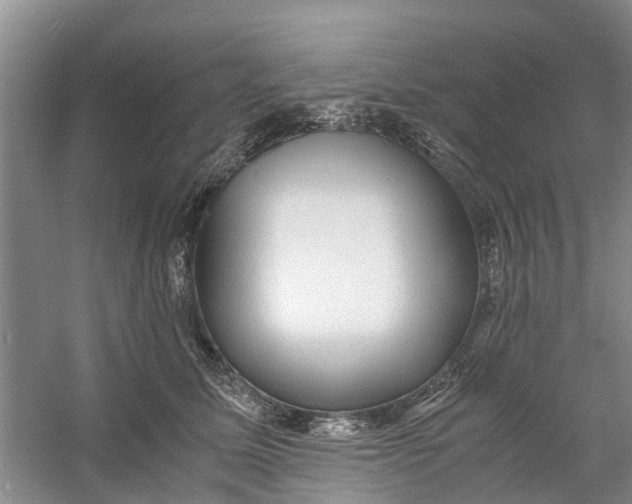 X0000060770611200512011613