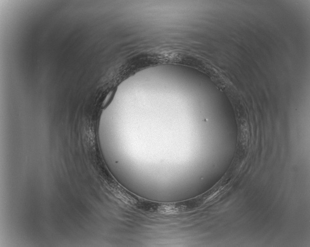 X0000060770613200512011613