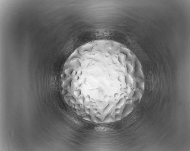 X0000060770614200512011613