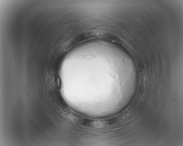 X0000060770615200512011613