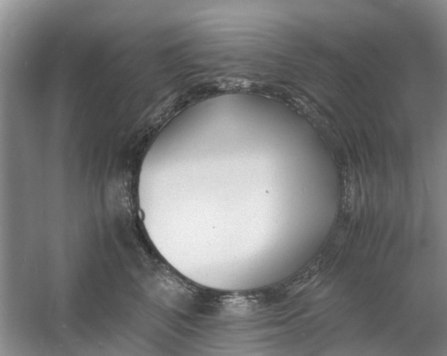 X0000060770616200512011613