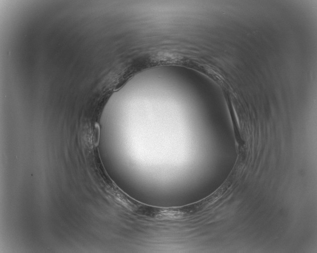 X0000060770617200512011613