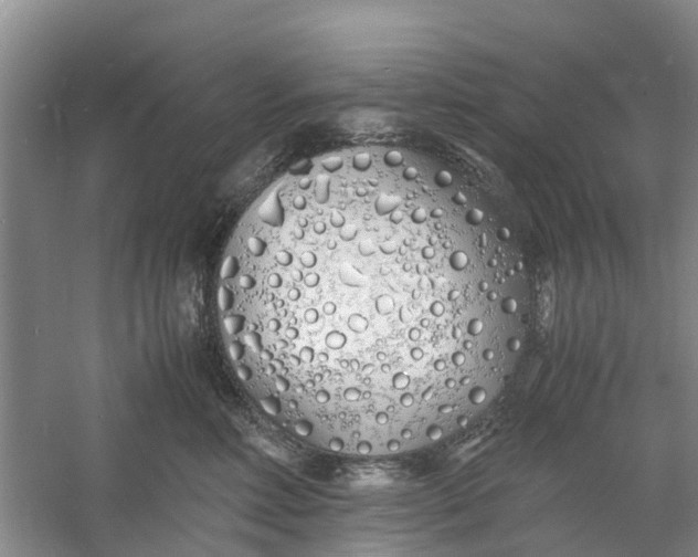 X0000060770618200512011613