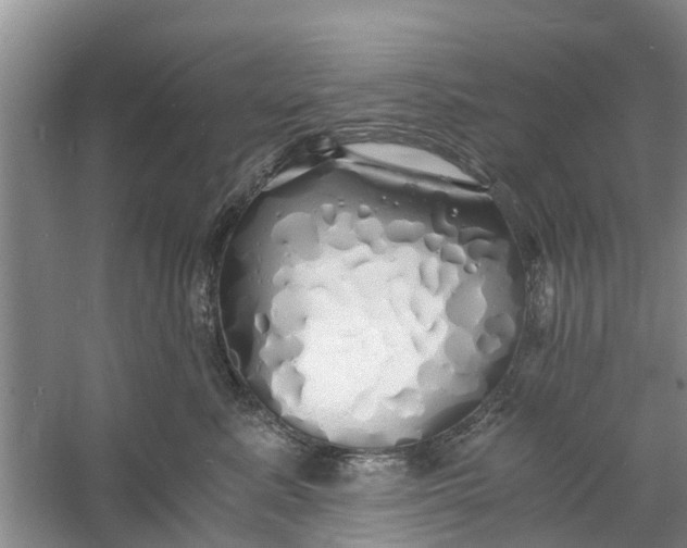 X0000060770619200512011613