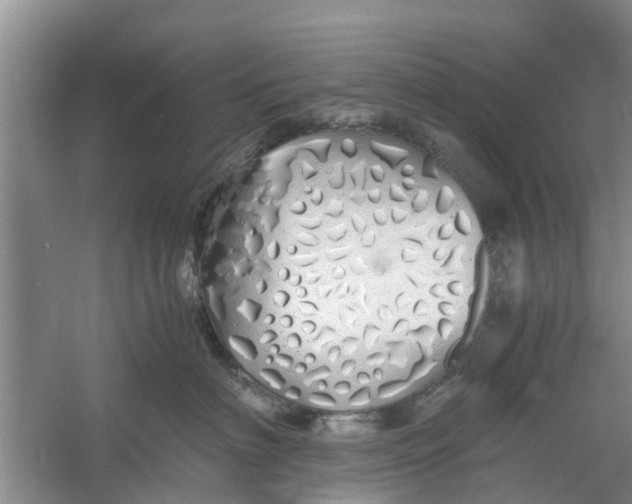 X0000060770622200512011613