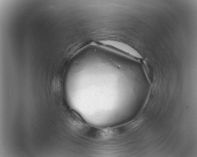 X0000060770623200512011613