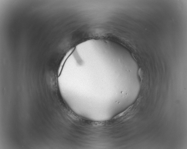 X0000060770624200512011613