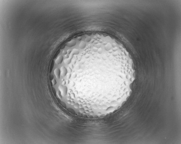 X0000060770625200512011612