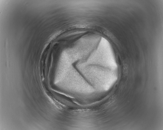 X0000060770626200512011612