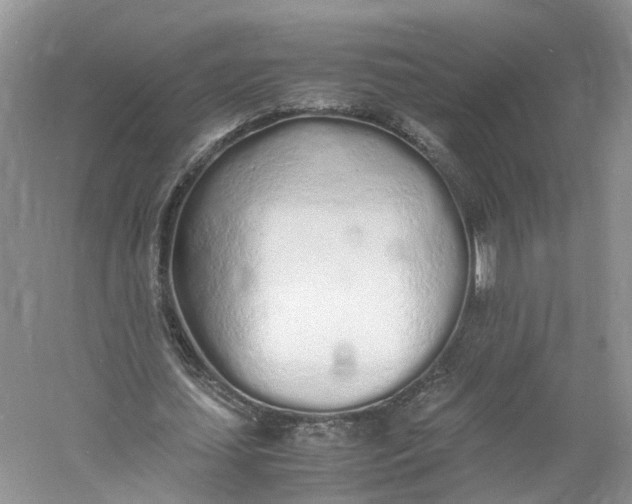 X0000060770627200512011612