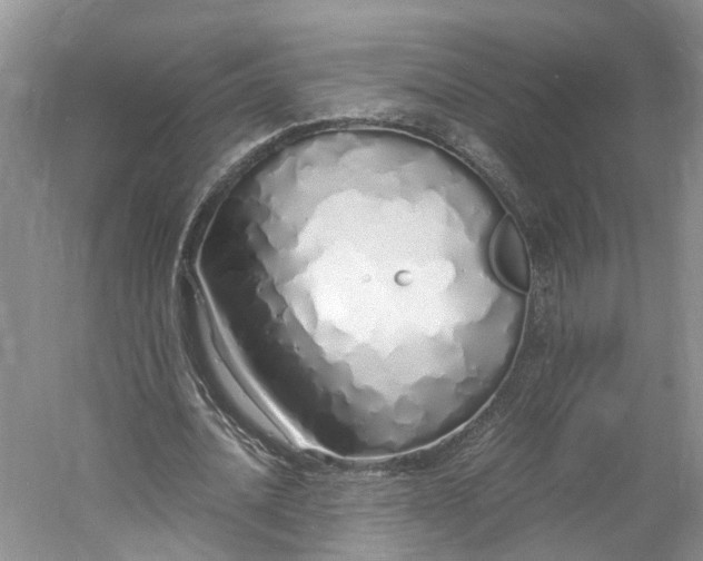 X0000060770628200512011612