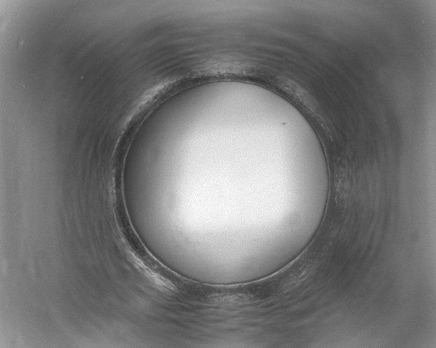 X0000060770629200512011612