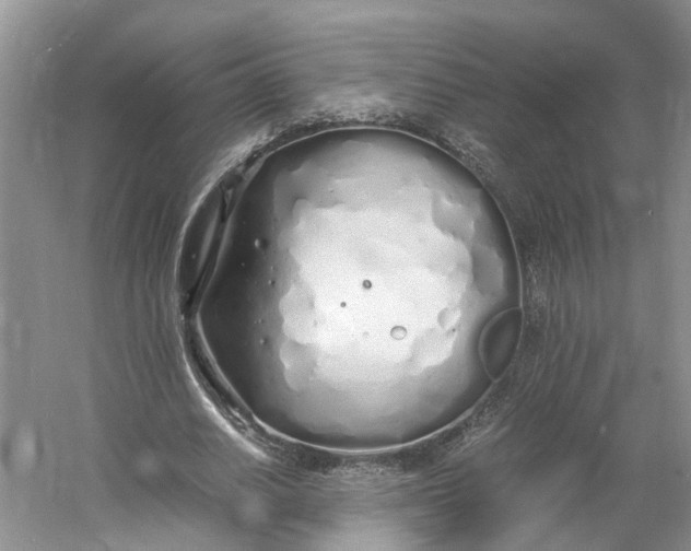 X0000060770630200512011613