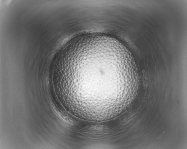 X0000060770631200512011613