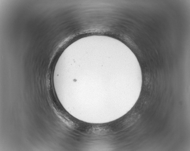 X0000060770632200512011613