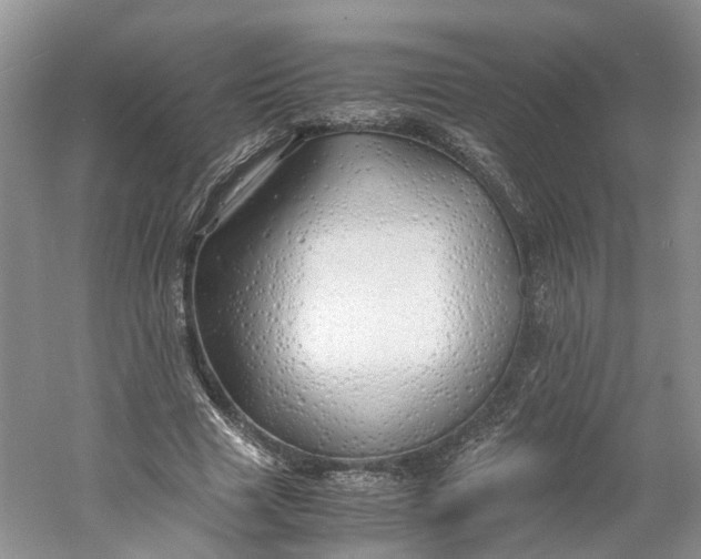 X0000060770633200512011613