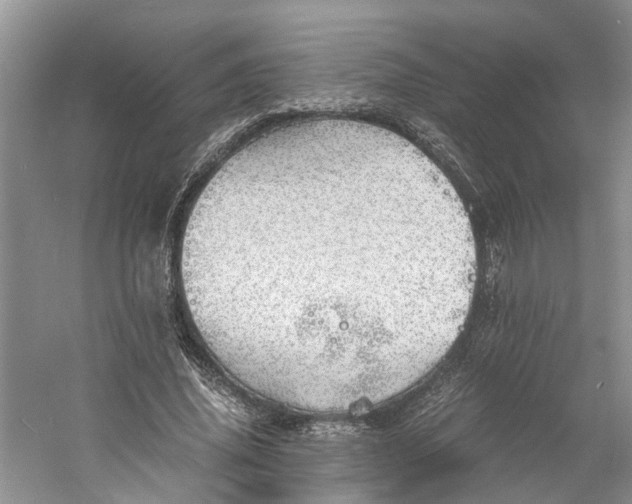 X0000060770636200512011613