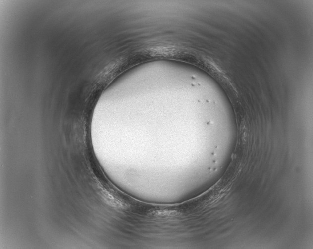 X0000060770637200512011613