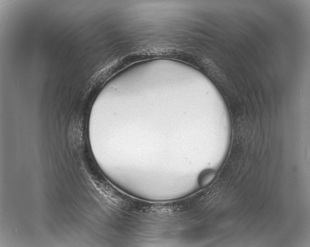 X0000060770640200512011613