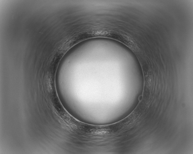 X0000060770643200512011613