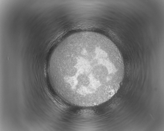 X0000060770644200512011613