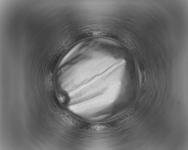 X0000060770650200512011613